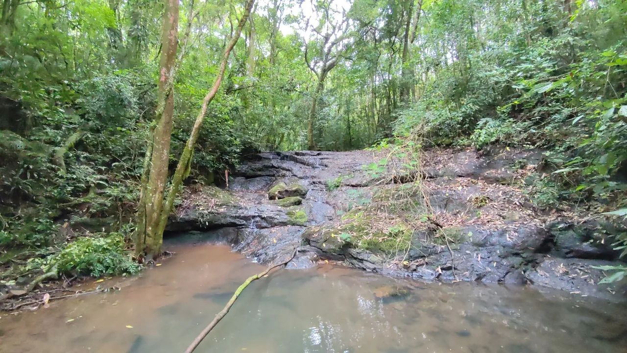 Sítio,com arroio, piscina natural,muita natureza  - Foto 2