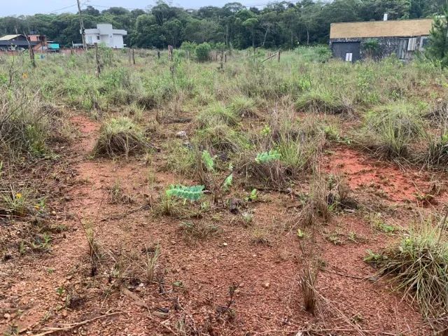 Terreno - Foto 2