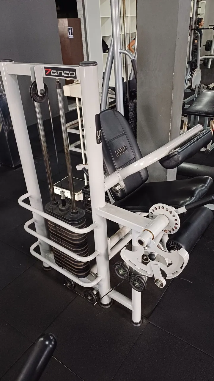Cadeira conjugada extensora/flexora "PsFit"
