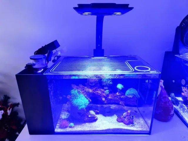 Aquário extra clear sistema All in one 61l com equipamentos inclusos