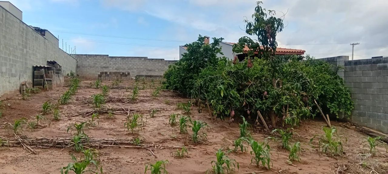 Foto - Limeira - Parque Residencial Aeroporto