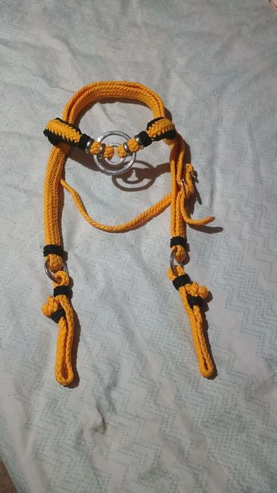 Tráia de frente para cavalo e burro  - Foto 3