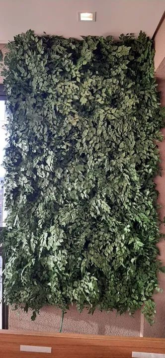 Jardim vertical preservado - M² planta preservada  - Foto 5