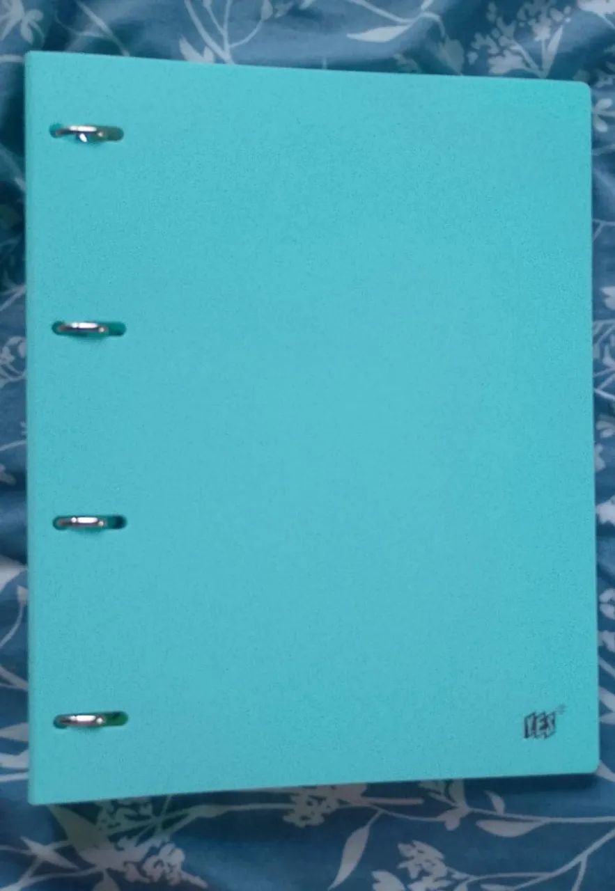 Fichário Argolado A4