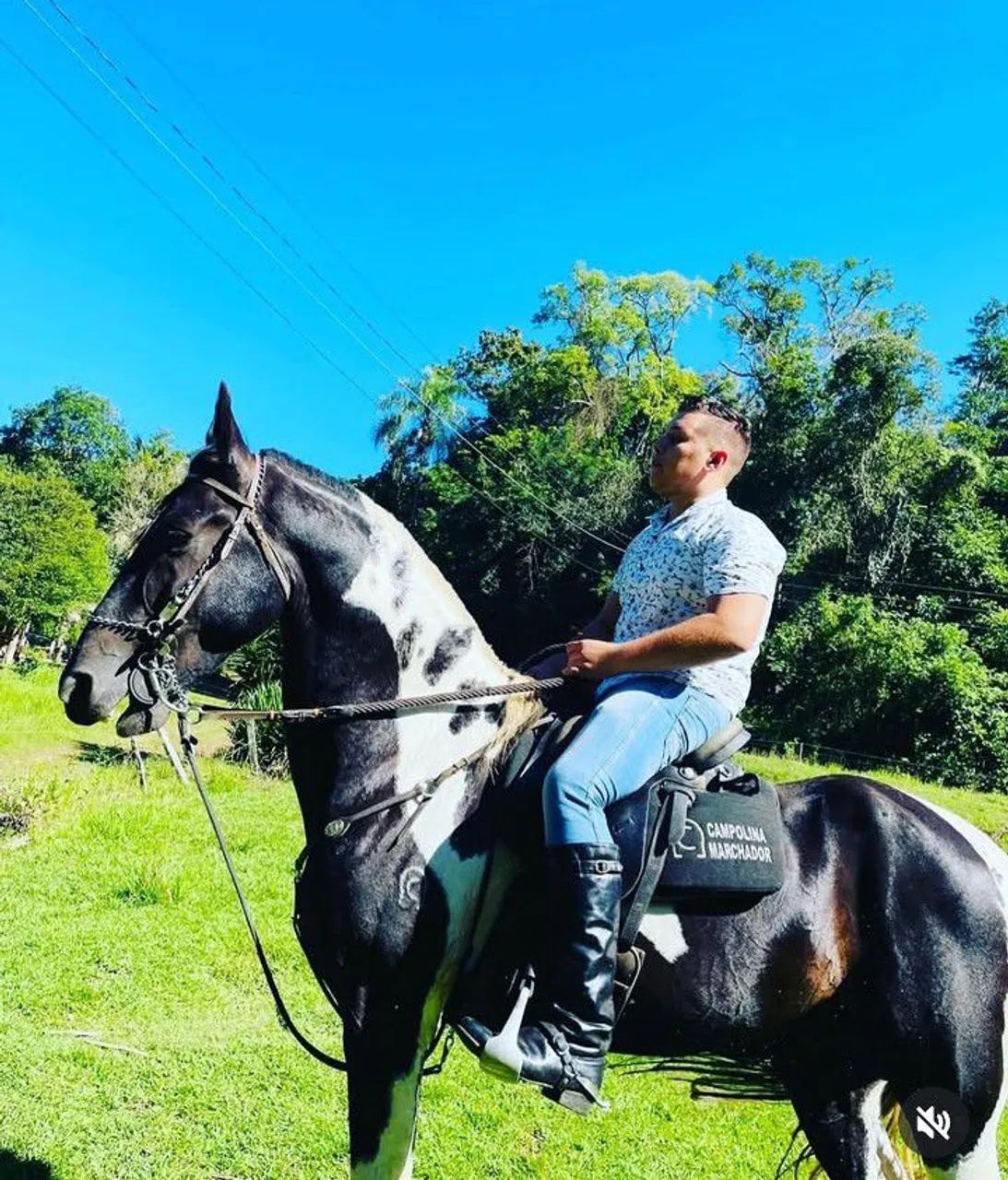 CAVALO MARCHADOR PAMPA DE PRETO HOMOZIGOTO  - Foto 5