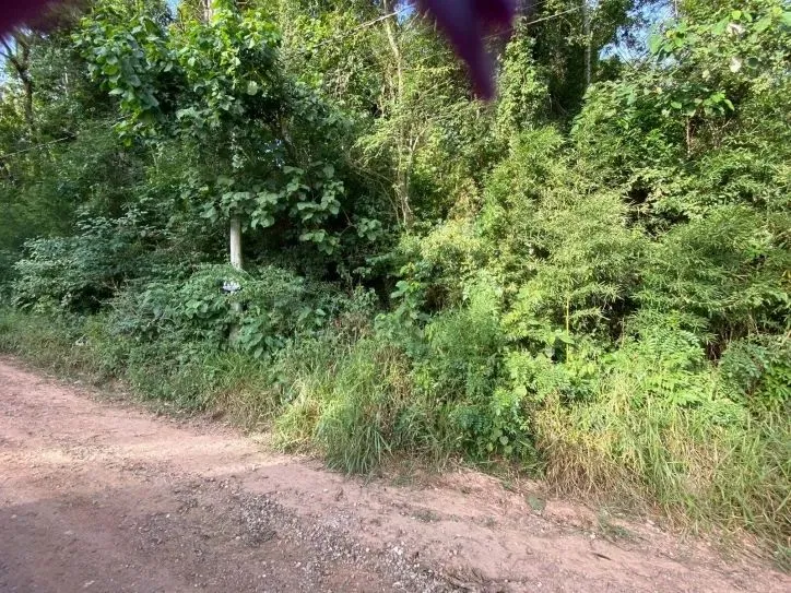 Terreno em condomínio à venda em Atibaia-SP, 700m² de área!