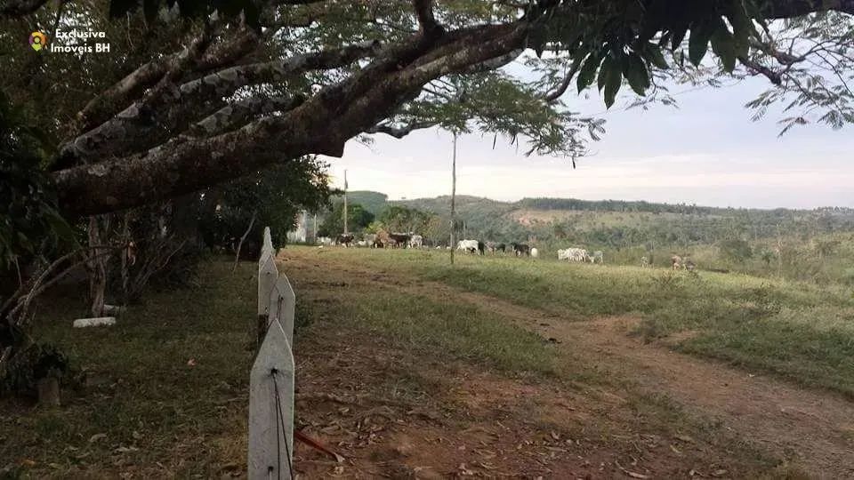 Fazenda à Venda em Abaeté - MG. 652 ha - Zona Rural. - Foto 3