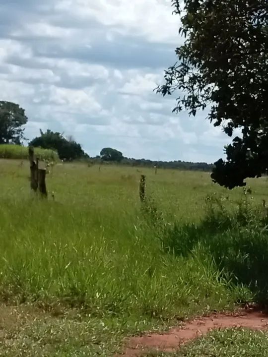 Vendo Sítio na Gameleira! - Foto 7