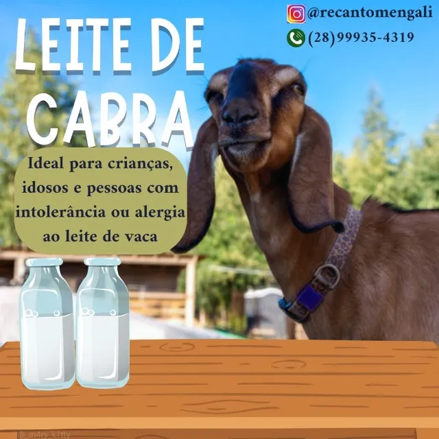 leite de cabra