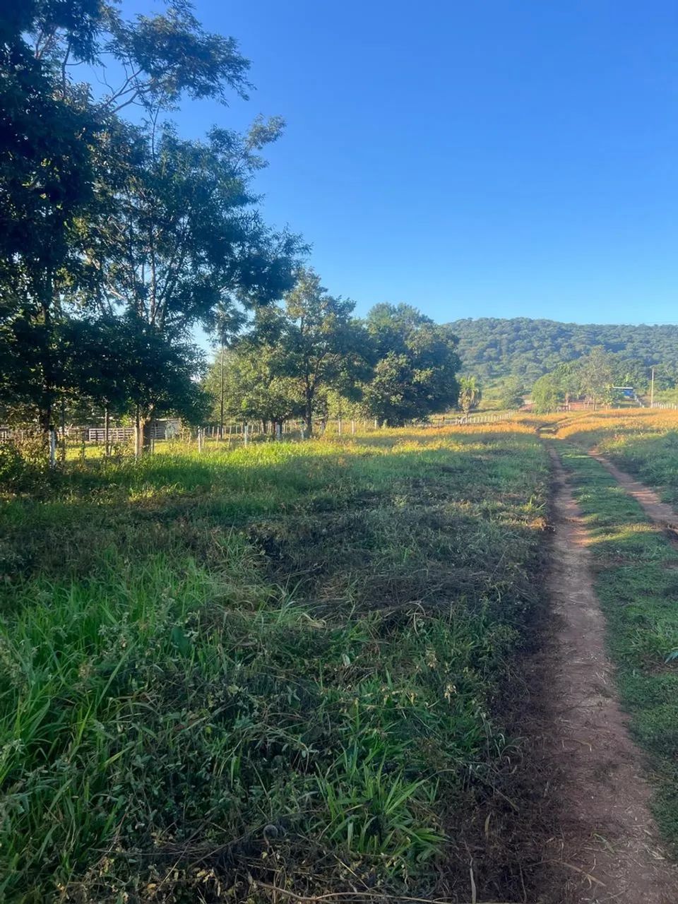 Imóvel rural no varjão em Varjão - Foto 3