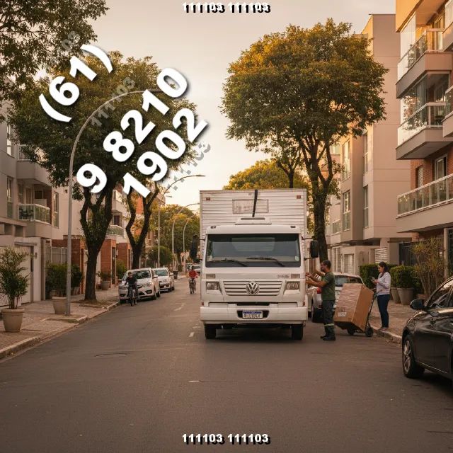 Frete 61/9/8210/1902 em Samambaia Guará Recanto das Emas Riacho Fundo Taguatinga Lago Sul 