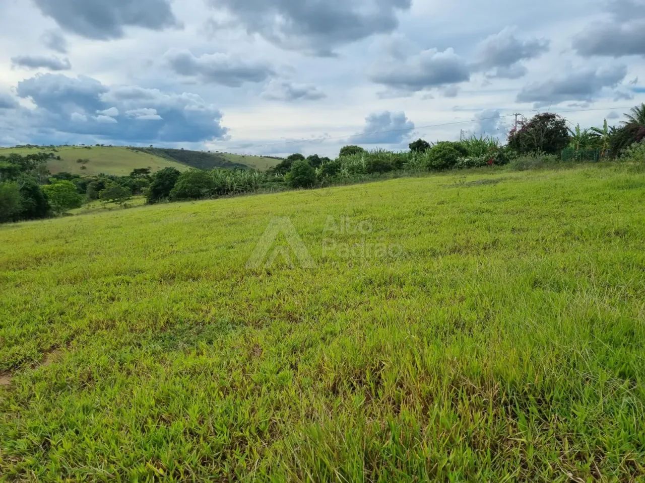 14 HECTARES EM CARUARU - PE - Foto 2