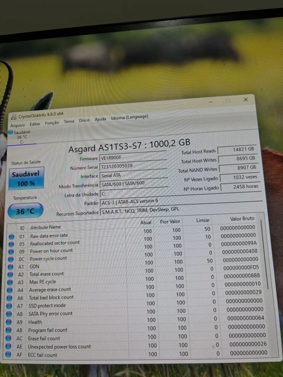 SSD Asgard 1TB - Foto 2