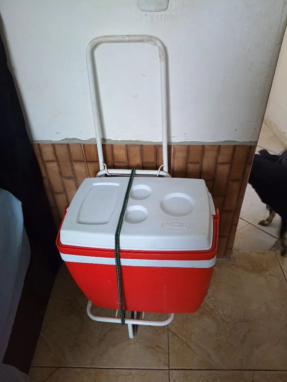 Cooler com carinho  - Foto 2