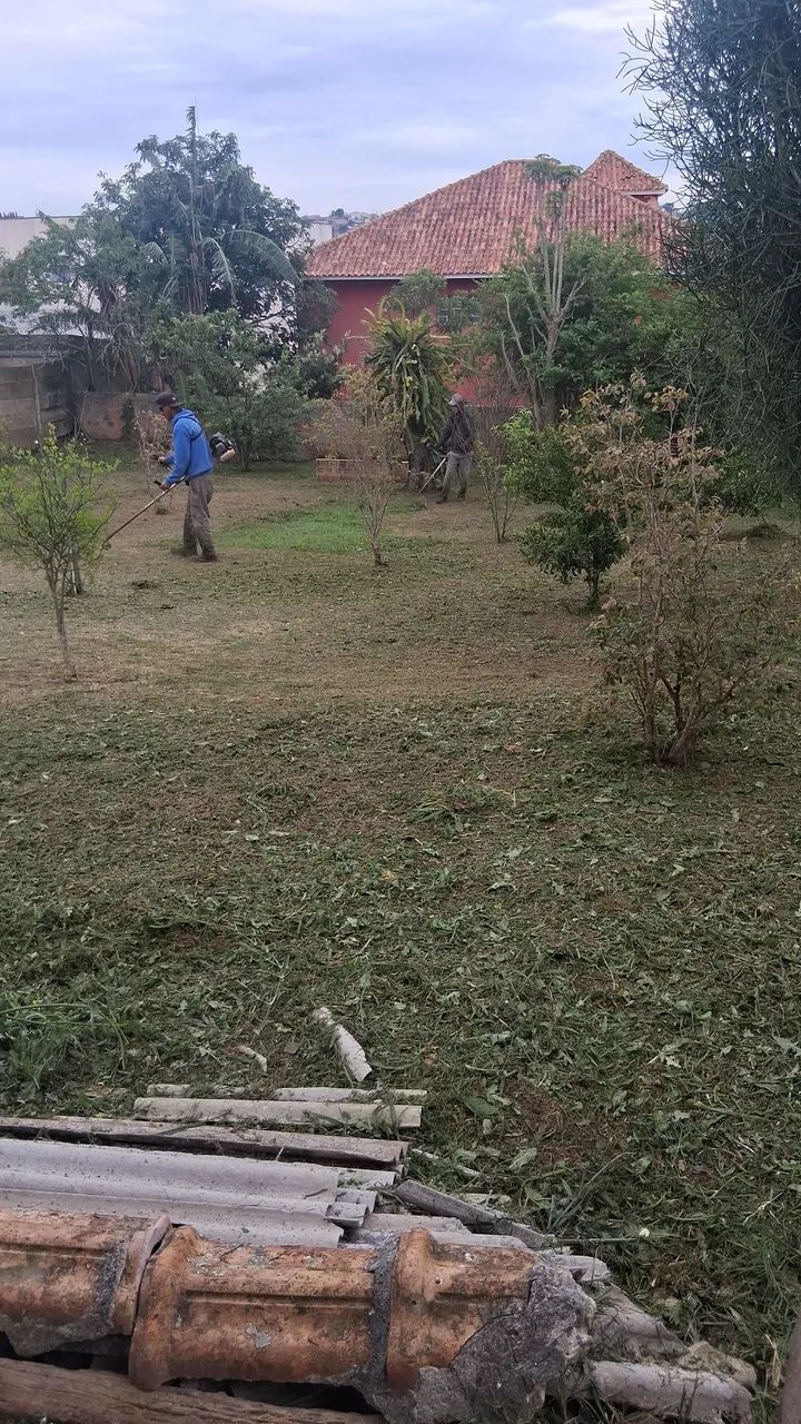 Jardinagens e Paisagismo David Santos  - Foto 4