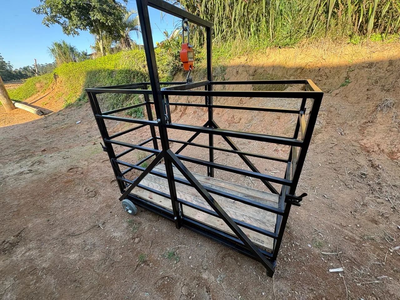 Balança para pesar ovelhas de até 150kg - Foto 4