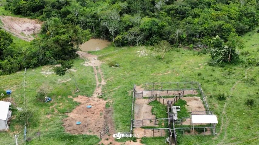 fazenda em Silvania GO com 140 hectares  - Foto 2