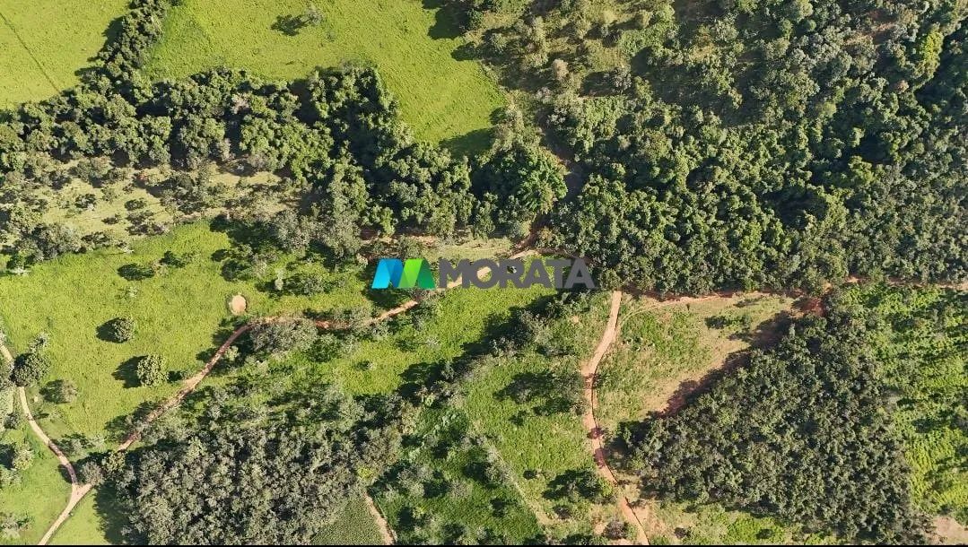 FAZENDA À VENDA - 78 HECTARES - CLÁUDIO (MG) - Foto 5
