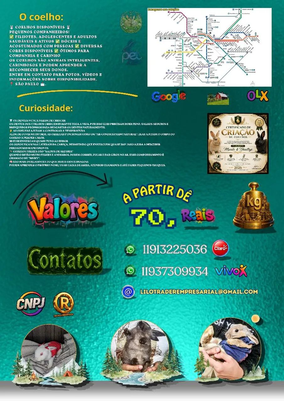 Vende-se Coelhos