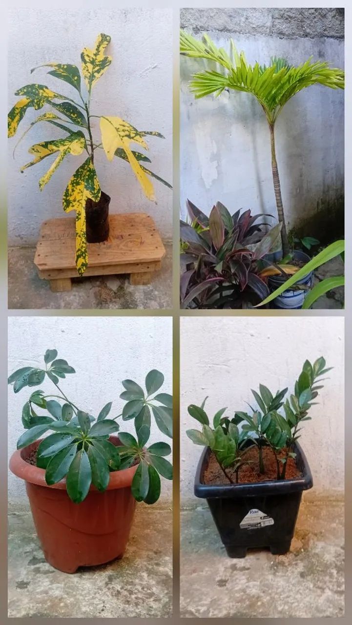 Vendo - Foto 2