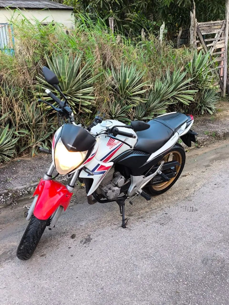 CB 300 - Foto 2