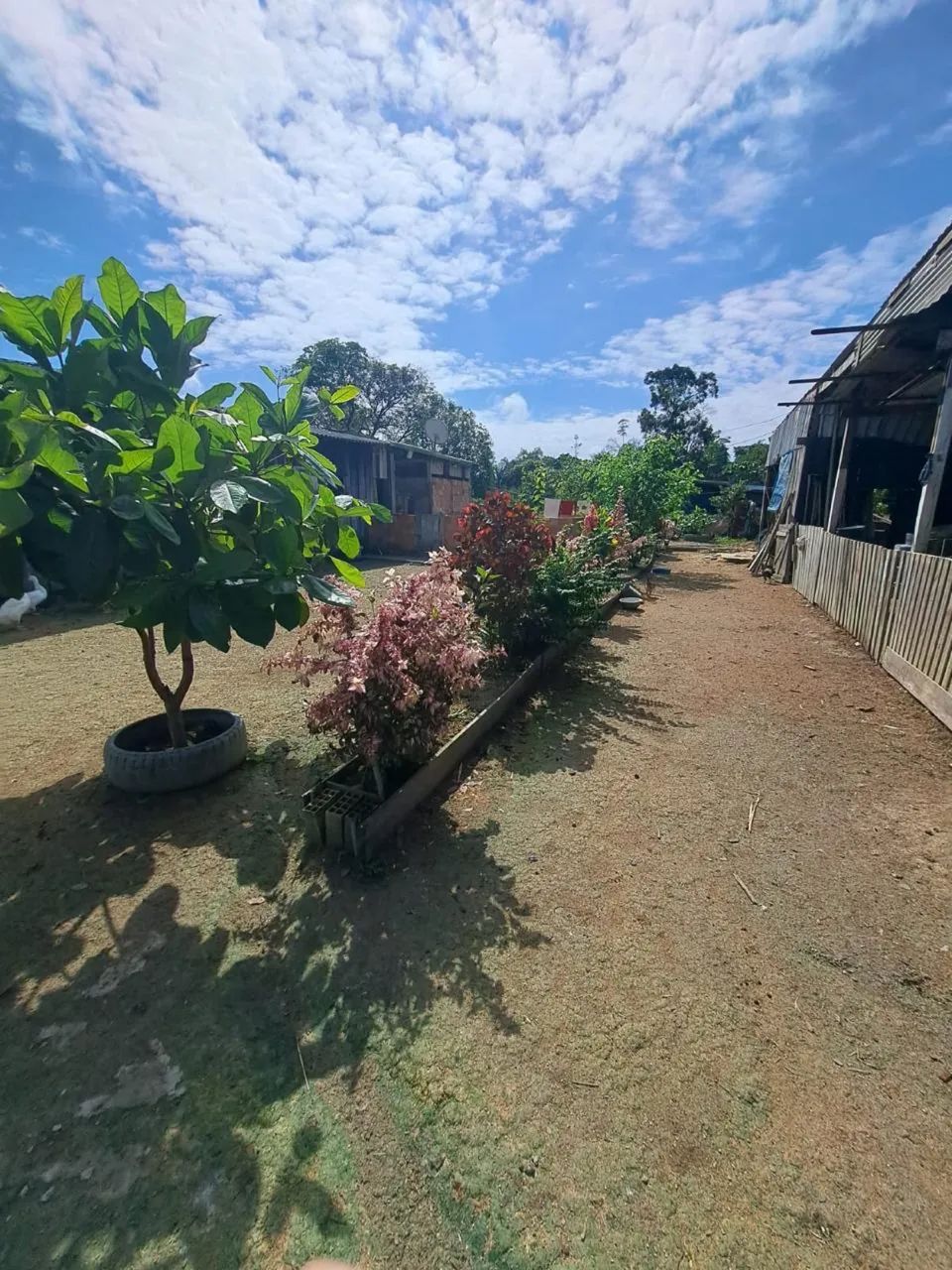  Vendo sítio! Aceito proposta,ou casa em Manaus , - Foto 2