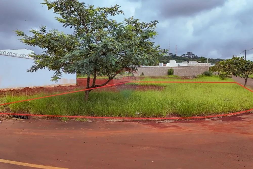 Terreno Excepcional em Leme: Ótimo Preço! - Foto 3
