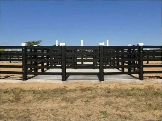 Construtor Pecuaria MS - Foto 3