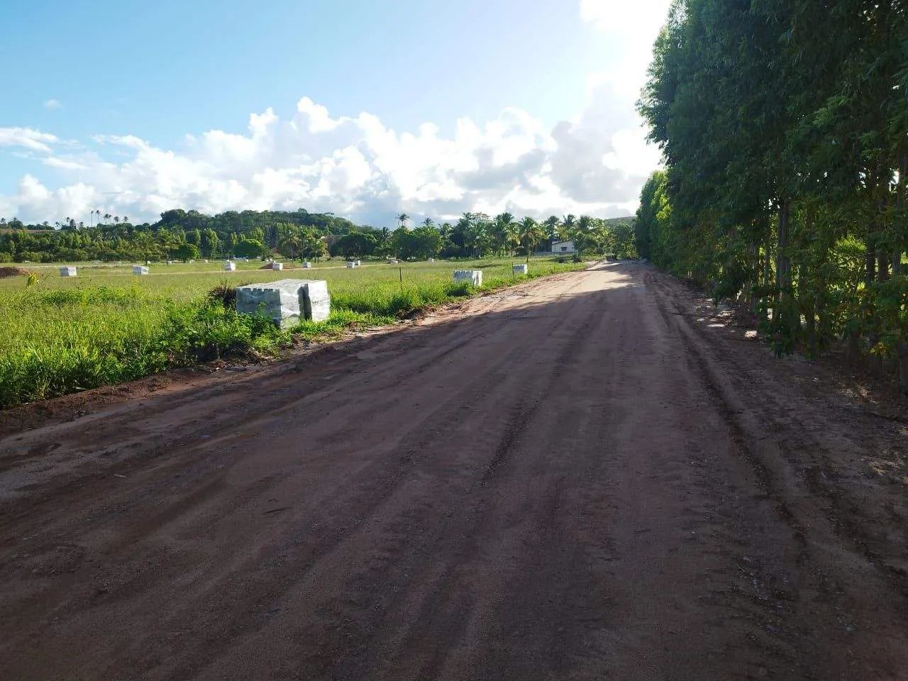 Lote à venda, PONTA DO MANGUE, Maragogi, AL - Foto 4