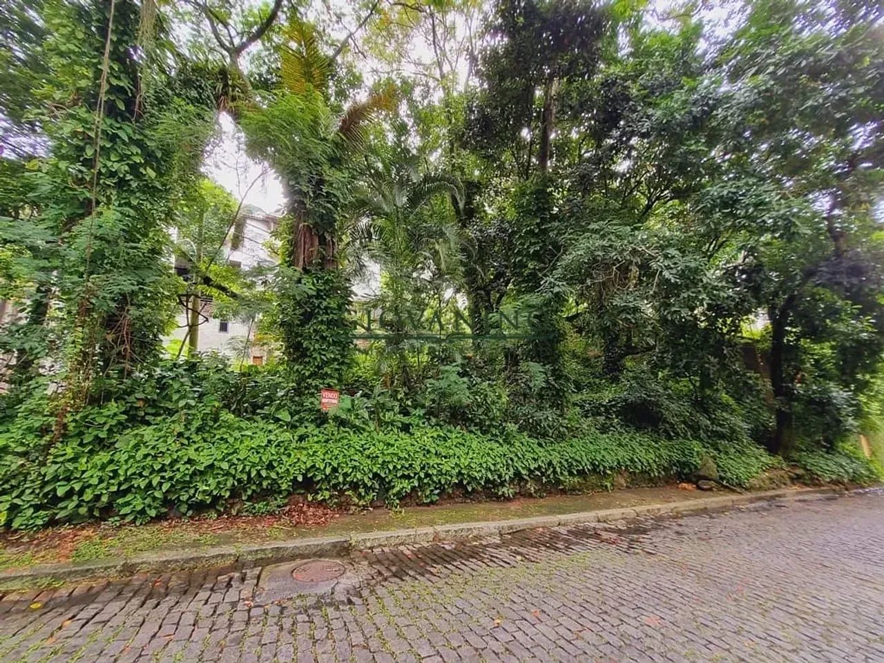 Lagoa - Terreno  Vitória Régia - Foto 2