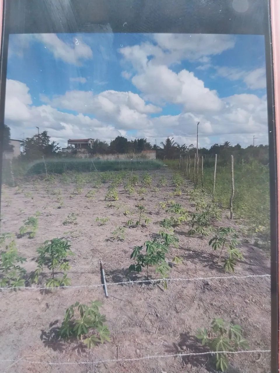 Terreno  - Foto 3