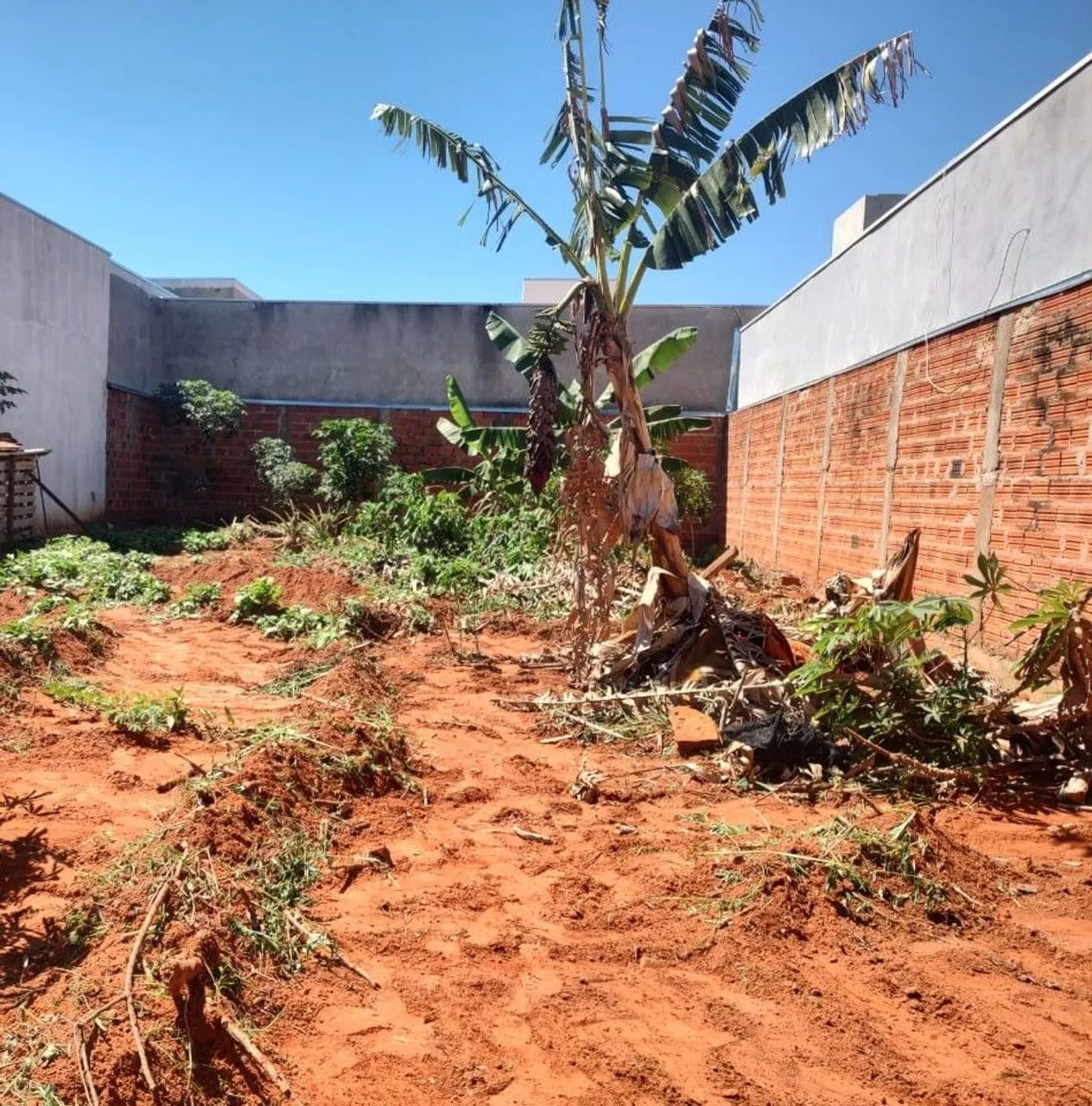Terreno murado e com portão - Figueiras
