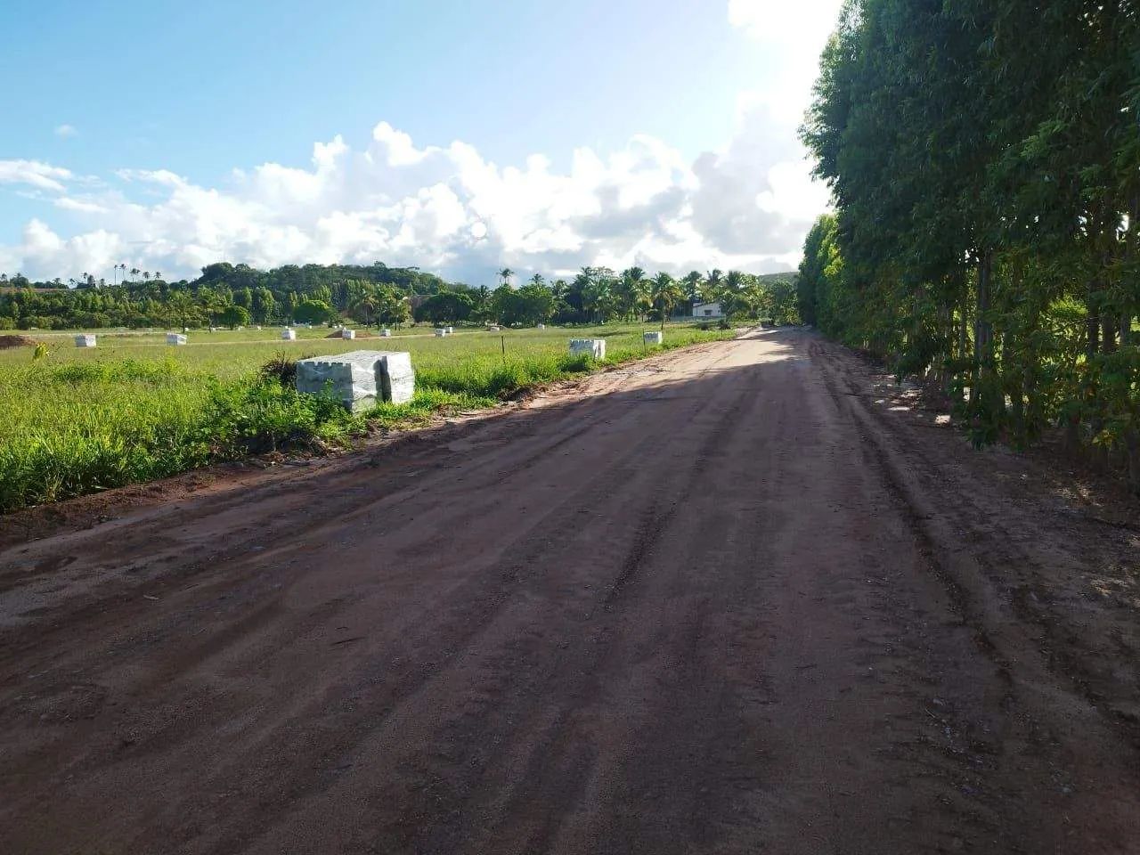 Lote à venda, PONTA DO MANGUE, Maragogi, AL - Foto 2