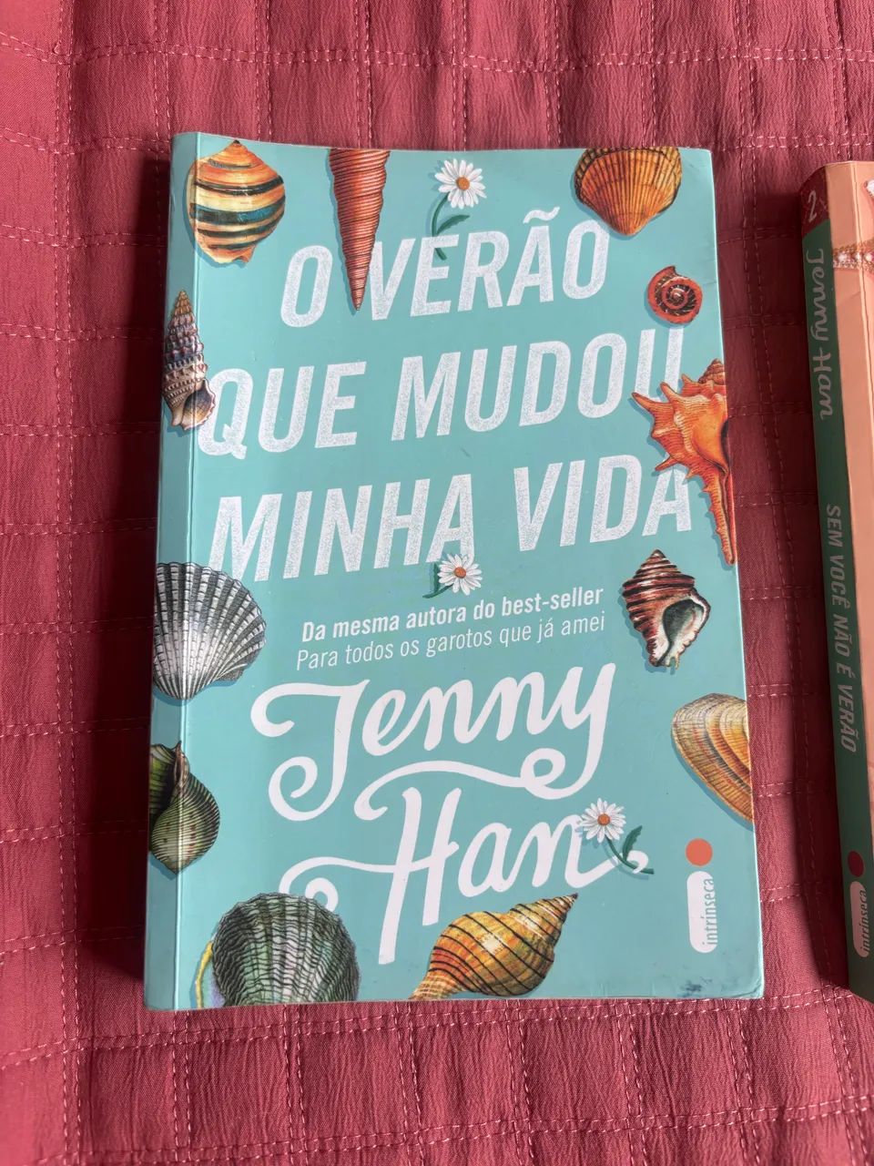 Box Trilogia- O verão que mudou minha vida - Livros e revistas ...