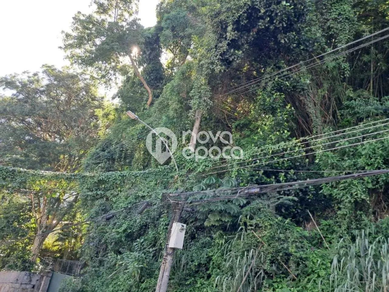 Laranjeiras | Terreno - Foto 5