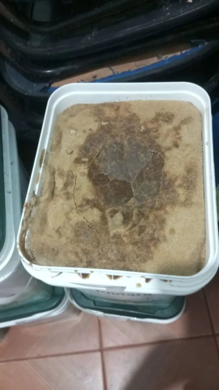 Produtos Caseiros açúcar farinha banha - Foto 3