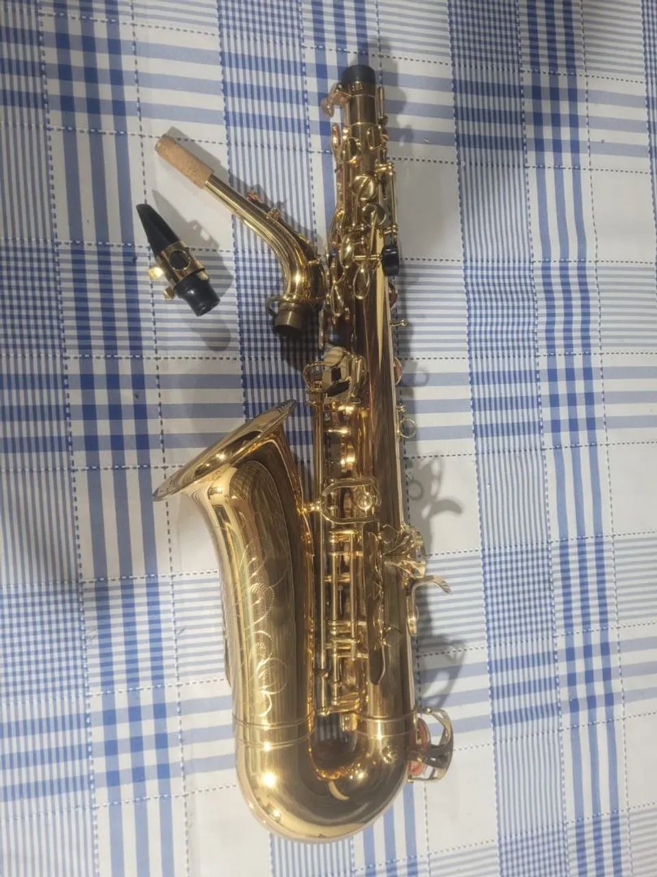 Sax alto Waldman sem uso