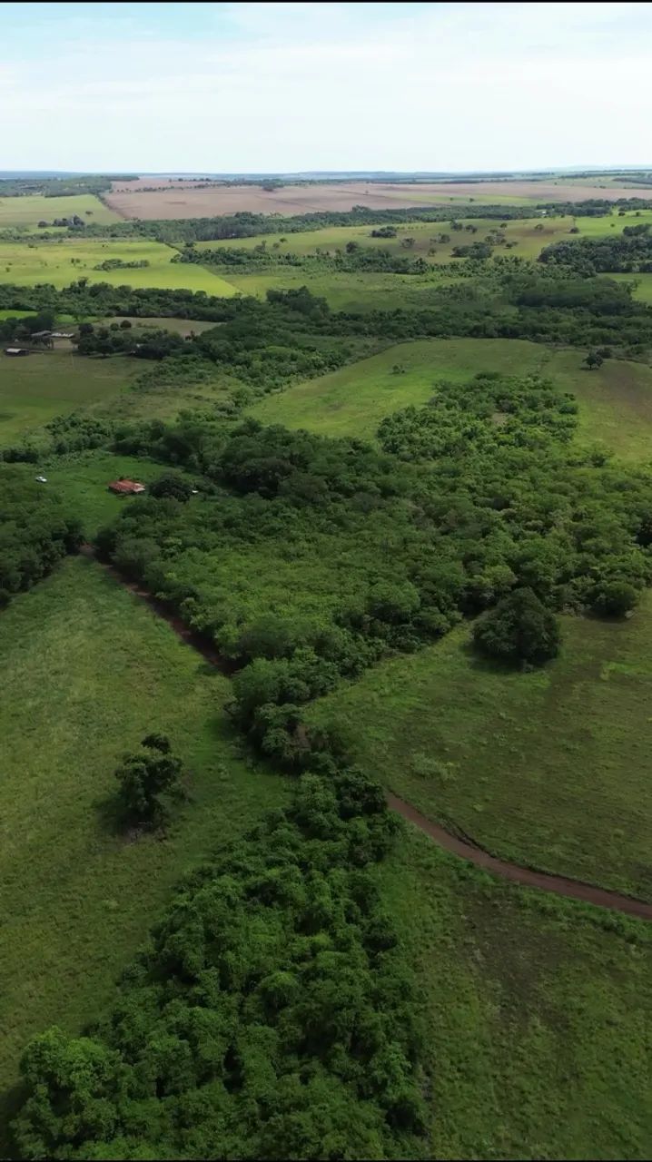 CHÁCARA À VENDA / TERENOS - MS | 41 HECTARES - Foto 5