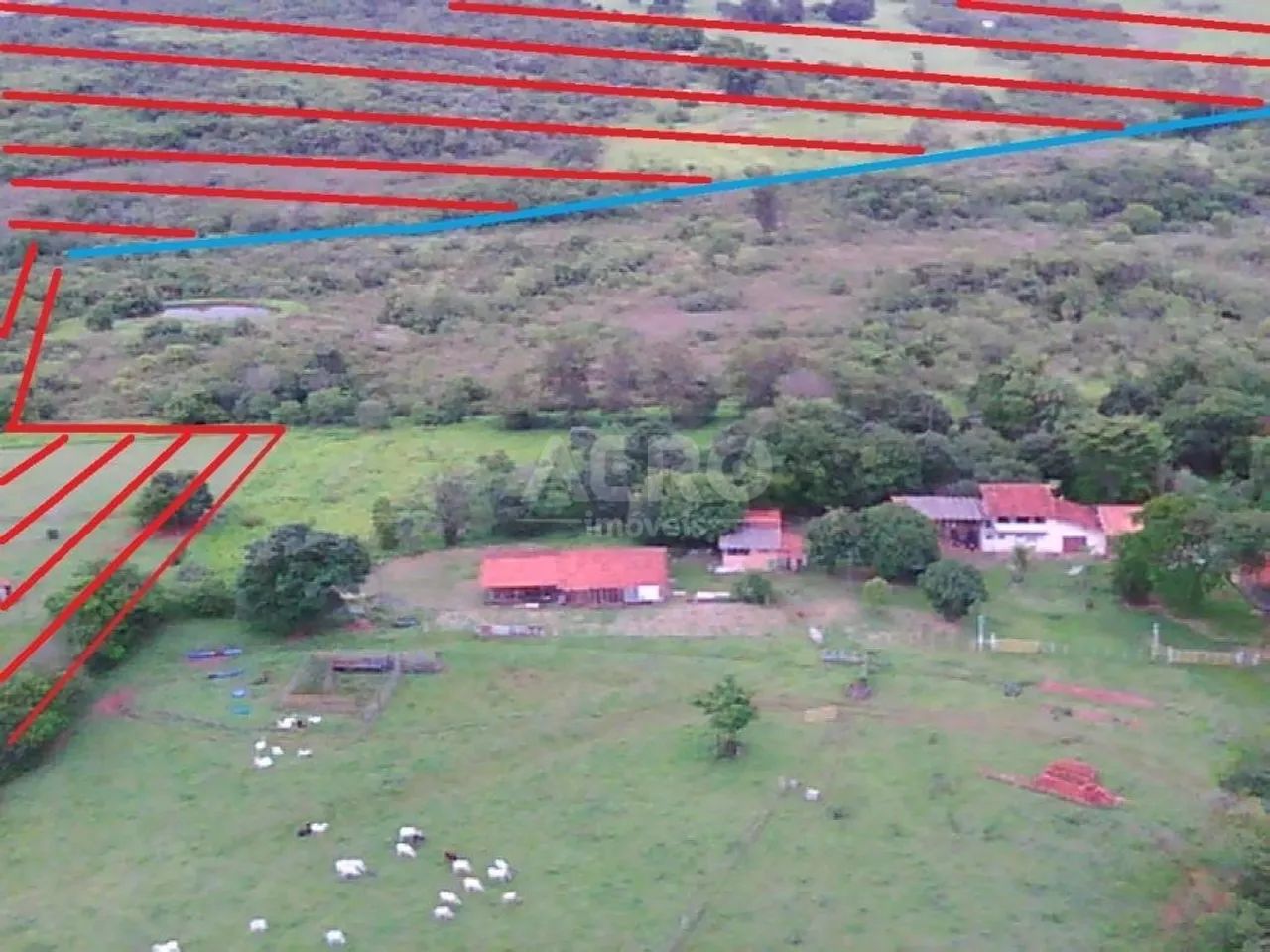 Sítio para venda com 100430 m² e 3 quartos em Jacuba, Arealva - SP - Foto 5