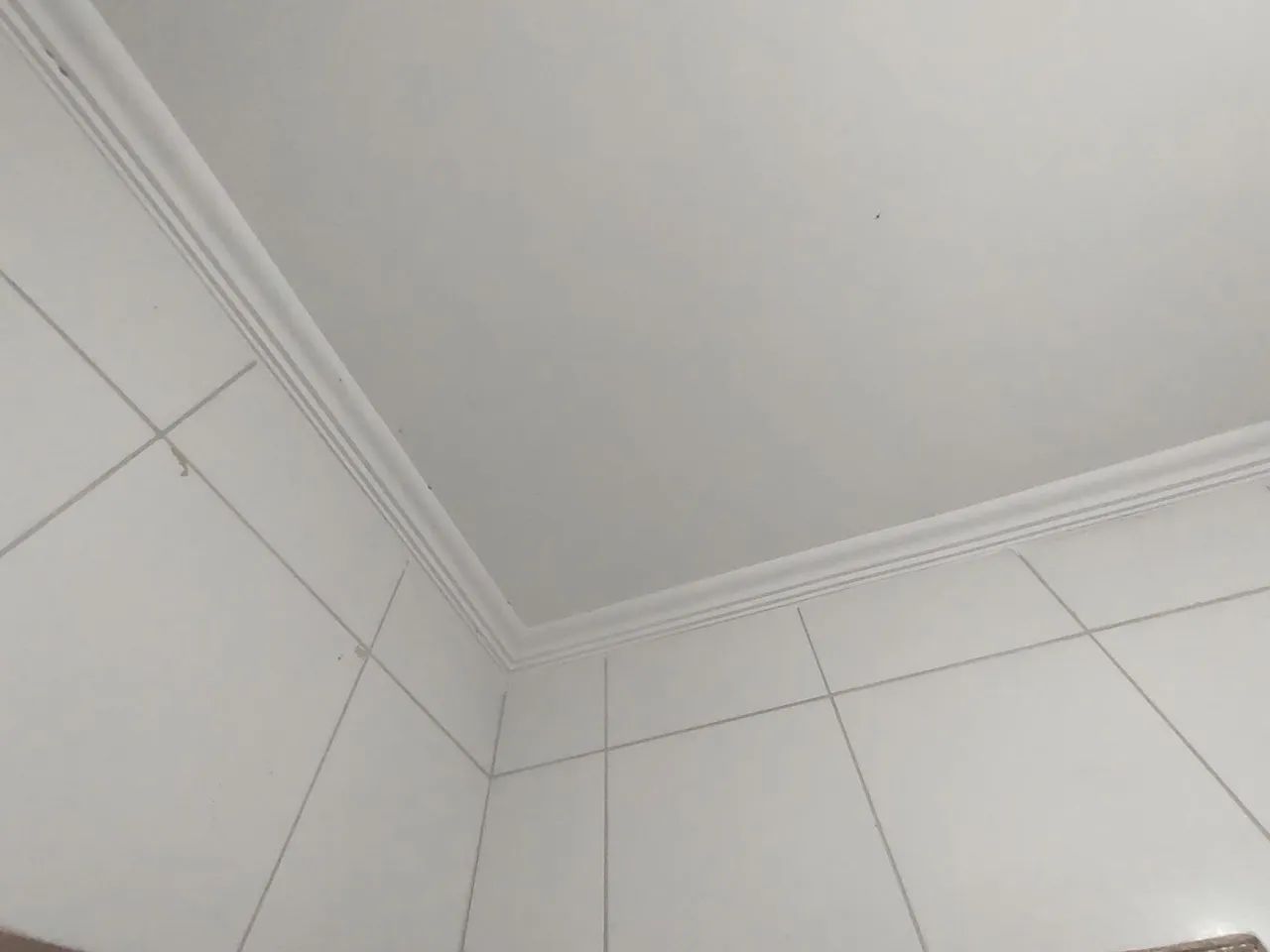 Gesseiro e pedreiro de acabamentos