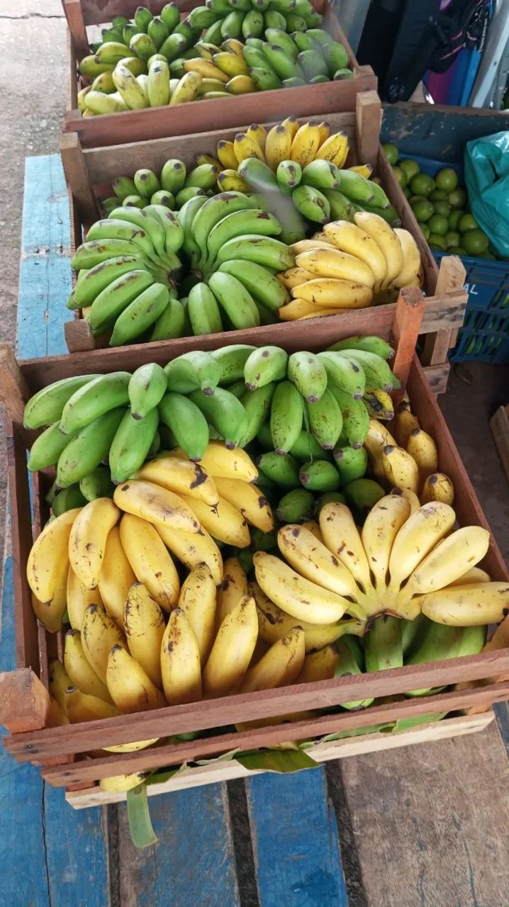 Banana de qualidade 