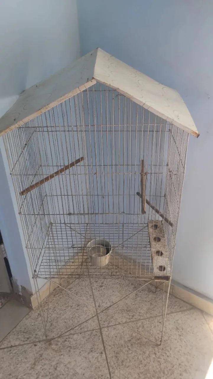 Gaiola de pássaros 