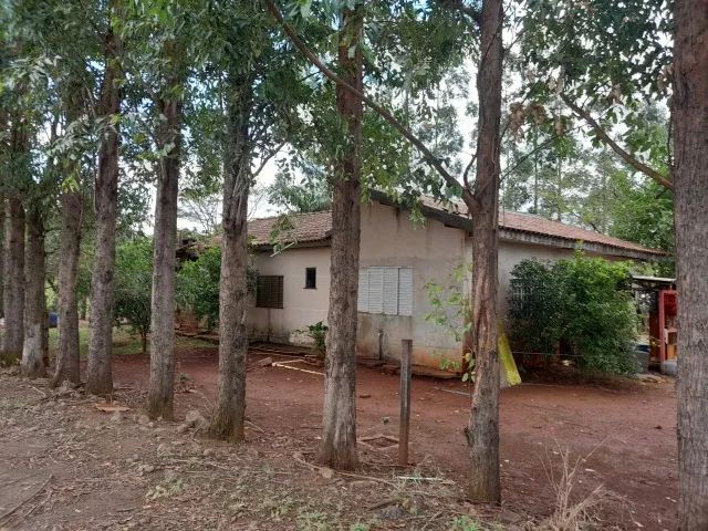 Chácara á venda - Paiçandu   - Foto 4
