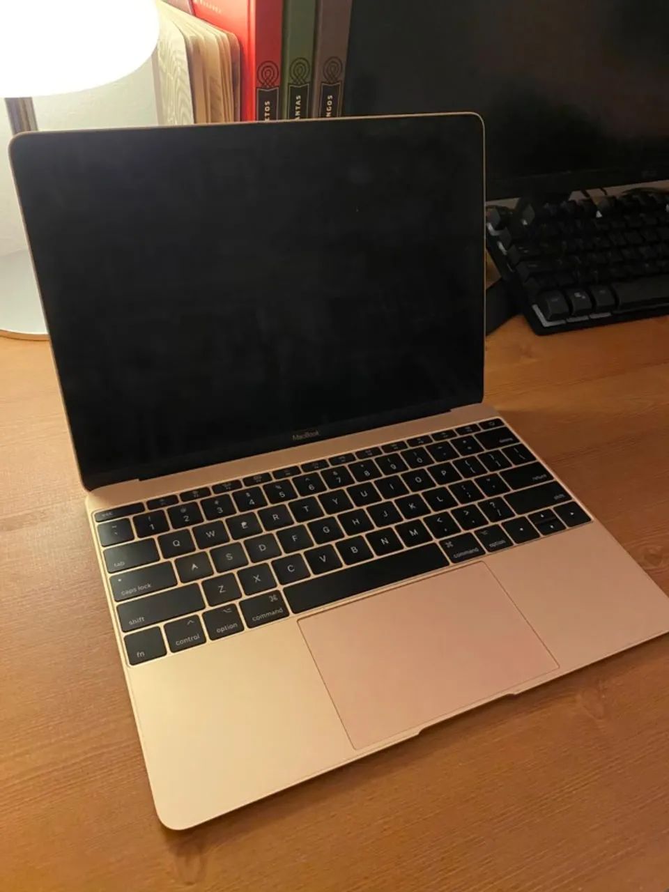 MacBook Retina 12" de 2017 - Foto 3