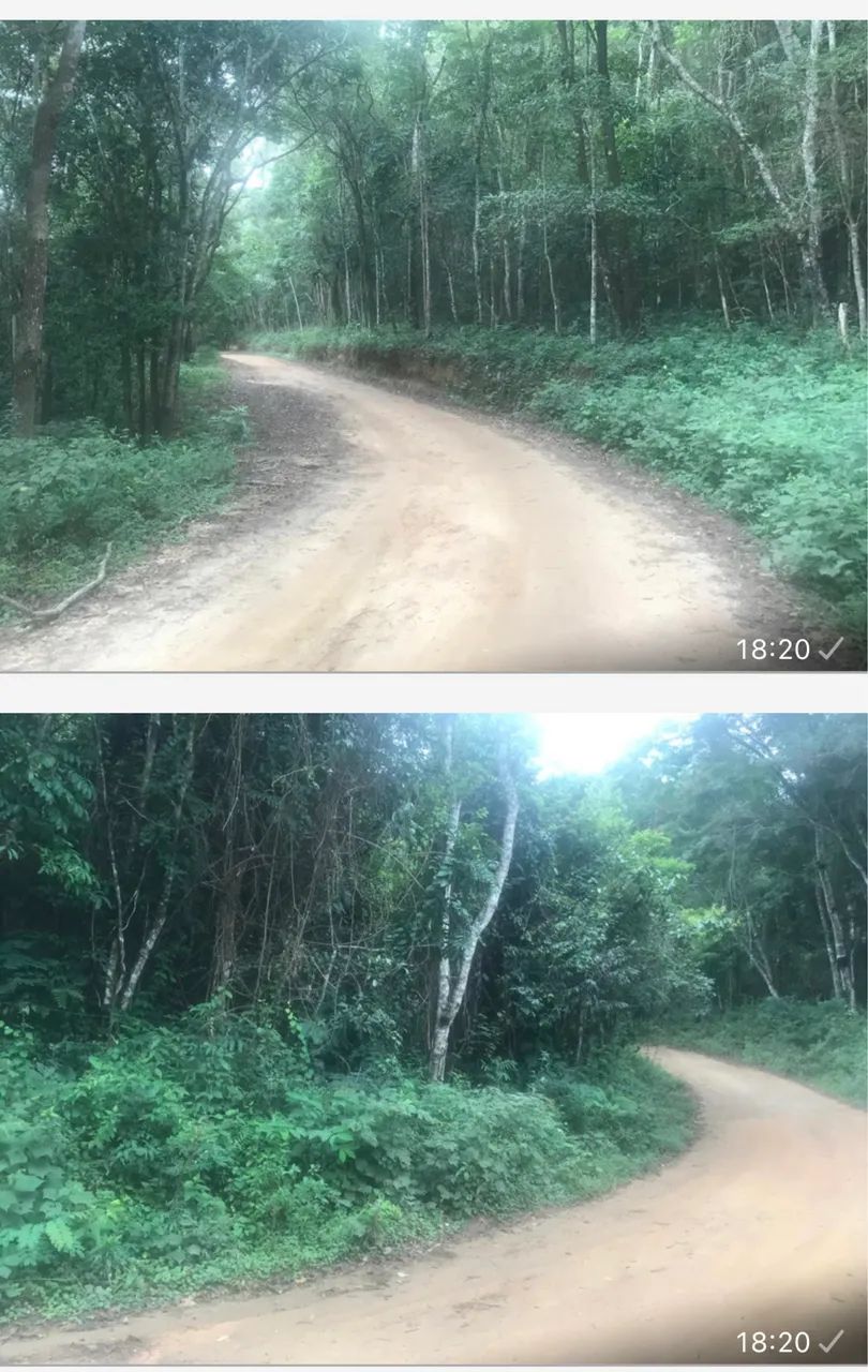 Oportunidade fazendinha  - Foto 4