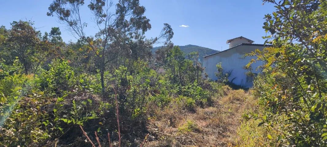 Lote, Residencial - 360m² - Foto 4