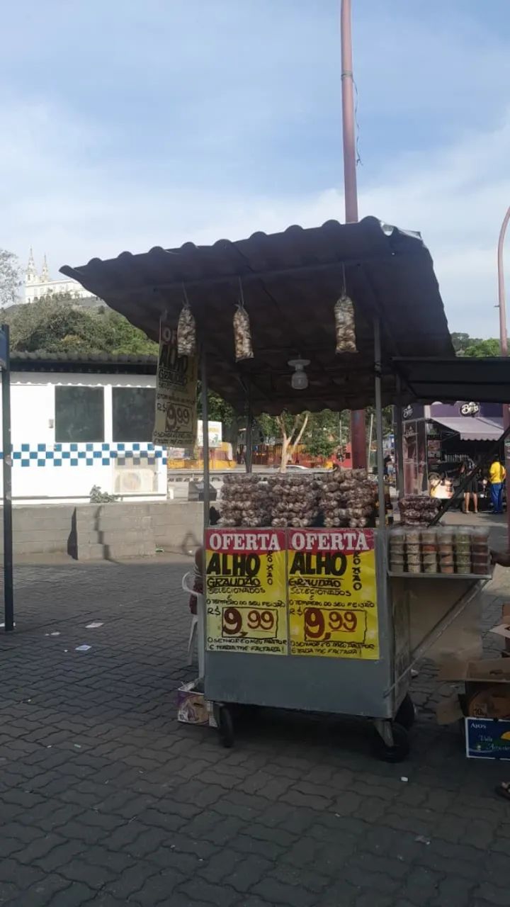 Carrocinha