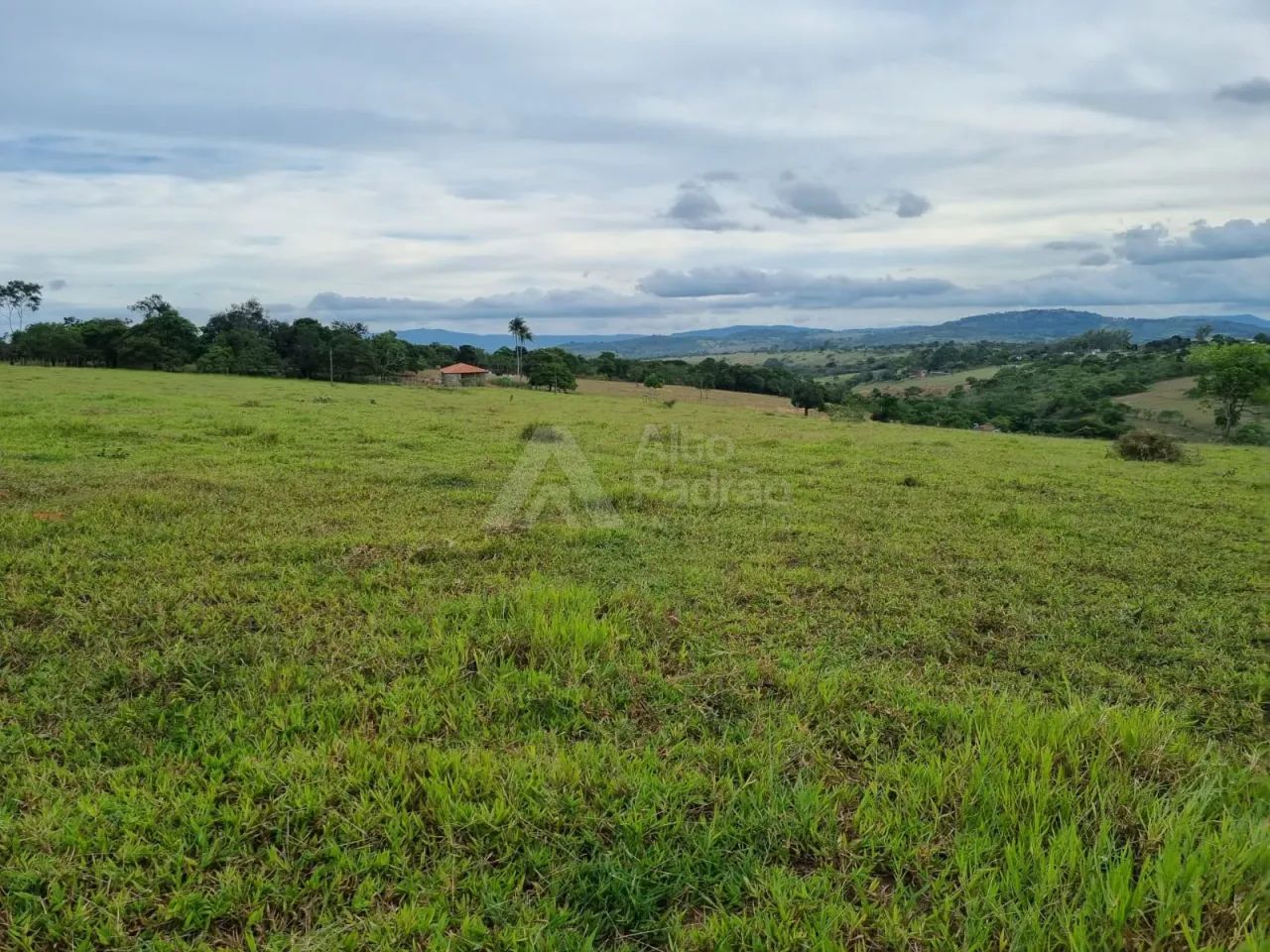 14 HECTARES EM CARUARU - PE - Foto 5