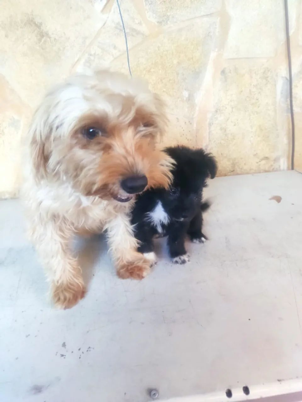 muito pequenos