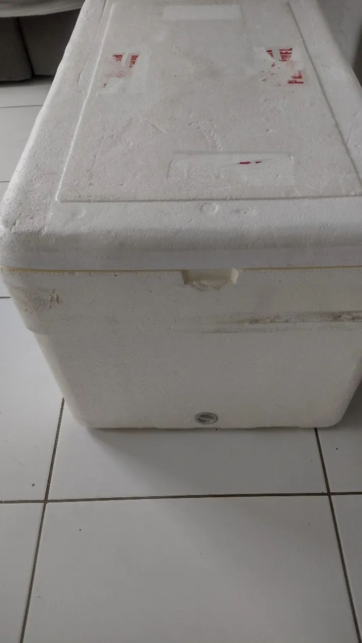 Caixa de isopor - Foto 2